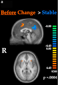 fMRI BOLD Intensity Changes Immediately Preceding an Updating Event